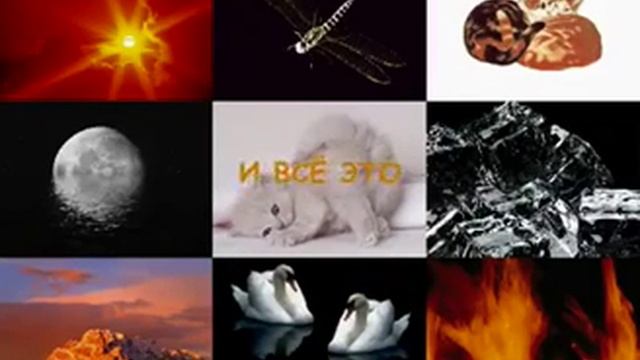 Как появились женщины смотреть онлайн