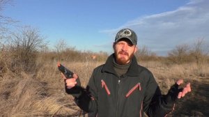 Как стартовый пистолет действует на собак?