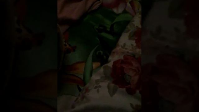 Вот поэтому я не снимаю покашто.огромный слайм???? смотреть онлайн