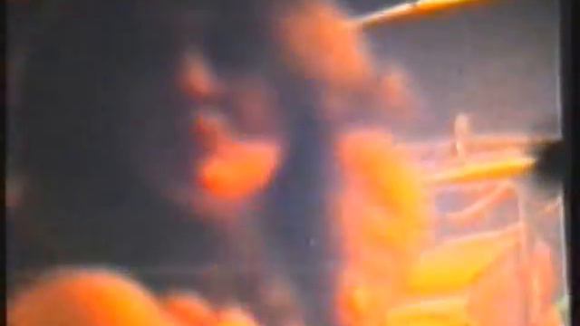 Concurso de Belleza 3 1980 Title 1 смотреть онлайн