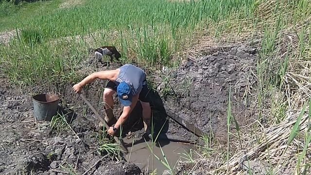 Чистка родника ведром в моем пруду зажигательно и грязно стоит посмотреть смотреть онлайн