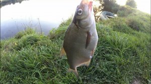 Рыбалка на донки,подводная съёмка,рыбалка и отдых с семьёй,уловистый монтаж донки, уклейка на донку