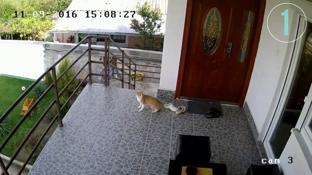 САМОЕ СИЛЬНОЕ ЗЕМЛЕТРЯСЕНИЕ, факты, характеристики, шкала, зоны, в Чили в 1960 году, 1988, 2010 ... смотреть онлайн