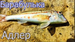 Рыбалка с Пирса, Чёрное Море, Адлер, Глубина 2,2м. Ловля БАРАБУЛЬКИ на поплавок. Подводная съёмка