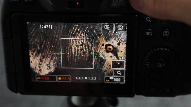 ?4 Mysterious Buttons On The Canon EOS R6 And What They Do смотреть онлайн