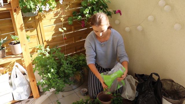 DZIEŃ Z NAMI | Rozmowy o niczym + SADZIMY na balkonie /vlog смотреть онлайн