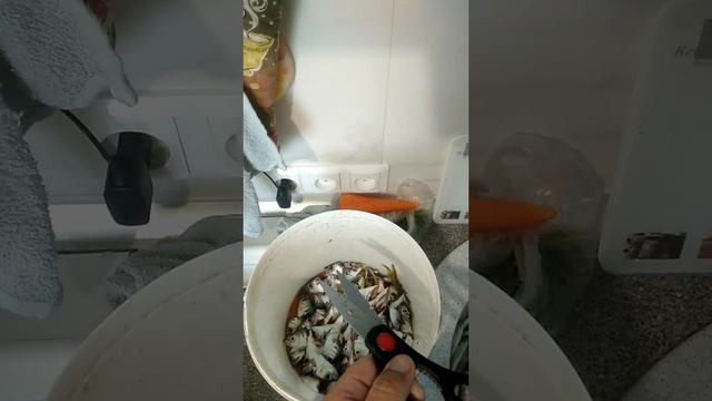 готовим рыбный фарш 1 смотреть онлайн