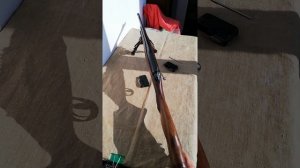 Карабин Лось-145 223 rem и немного о карабинах Барс 4-1 и Горностай.