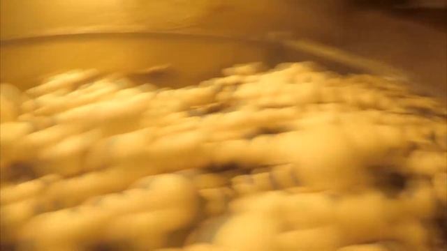 ТОП-7 бизнес идей для жителей деревни. Проверенные идеи для бизнеса в деревне. Бизнес идеи. смотреть онлайн