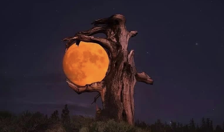 Ангел я! Пусть и пал, но герой