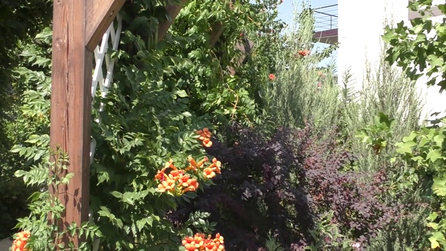 Крым. Коктебель. Отель 