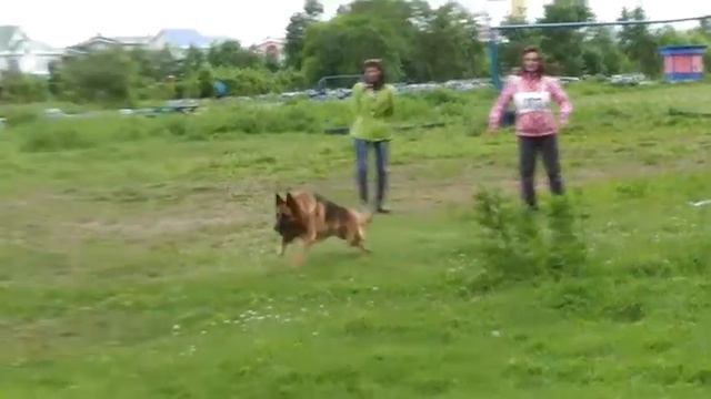 Югория Завада (ДВ Кубок РСЛНО, 10.06.2017, Владивосток) смотреть онлайн