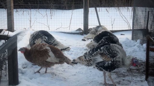 Жизнь бьет ключом смотреть онлайн