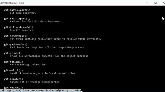 Win10 Bash Usage смотреть онлайн