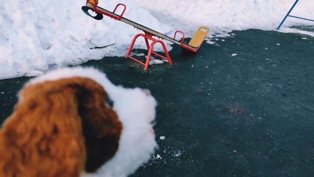 Игры с собачкой?? исламский мультик про снежинки.прятки на детской площадке смотреть онлайн