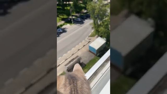 Ты играй, гармонь моя!) смотреть онлайн
