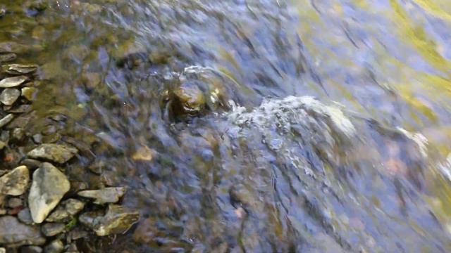 Субботник "Вода России" смотреть онлайн