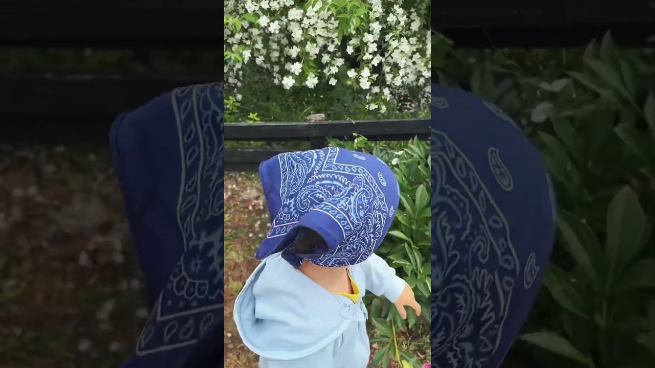 Моменты лета #bashkortostan #природа #лето2024 смотреть онлайн