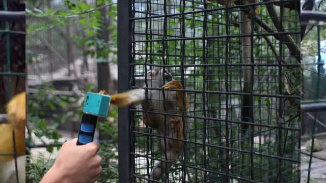 VLOG Крым #7: Театр морских животных "Акватория", зоопарк "Сказка" смотреть онлайн