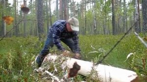 Работа плотницким топором