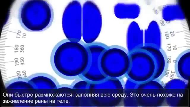 Доктор Натан Ньюман о системе омоложения кожи Luminesce смотреть онлайн
