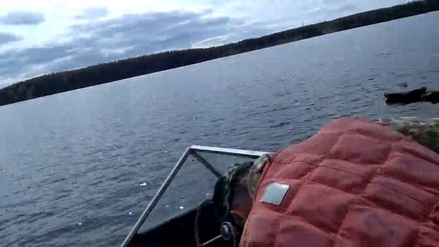 MERCURY 6 1часть замеры скорости на разных винтах смотреть онлайн