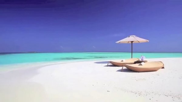 Steel Drum Music: 1 Hour of Best Steel Drum Music with Steel Drum Music Playlist