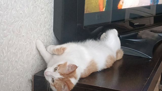 Кузя смотреть онлайн