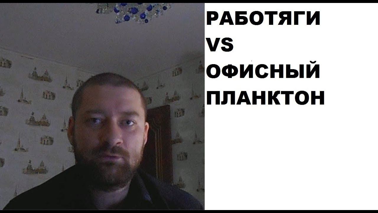 Кто важнее: рабочие (работяги) или офисные (офисный планктон)? смотреть онлайн