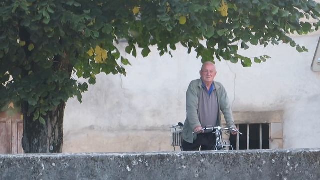 Cabbage Soup, The Genuine 