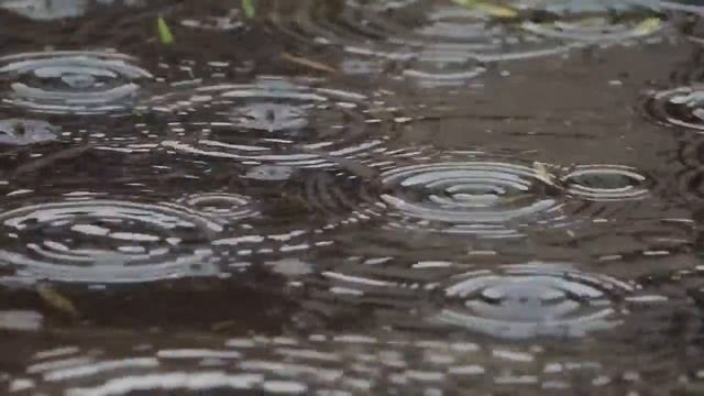 Шум дождя с грозой/ Для Сна/Noise Of Rain With A Thunderstorm / For Sleep /