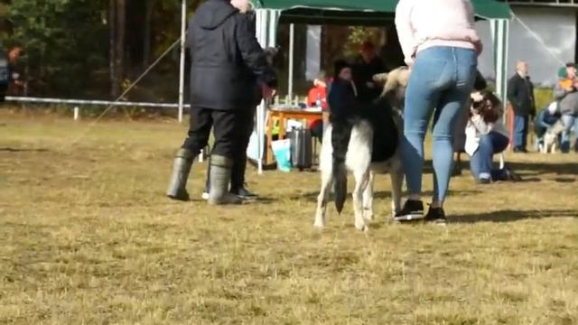 Видео от Luda Prokhorova 3