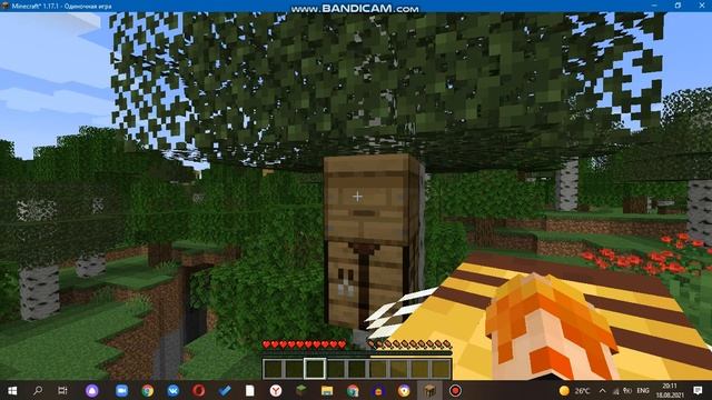 Я завёл пчелу в Майнкрафт | Minecraft 1.17.1 смотреть онлайн