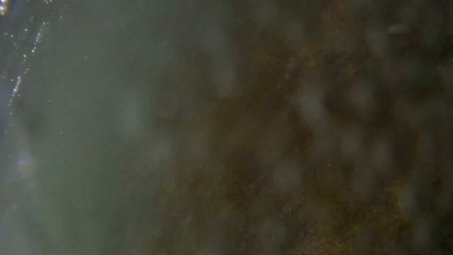 Видео блог , как потеряли камеру , что сняла камера под водой , ШОК смотреть онлайн