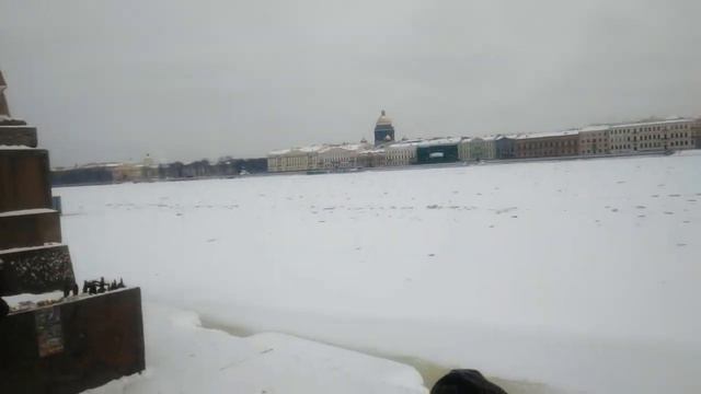 Санкт-Петербург. Университетская набережная. Сфинксы. 23.12.2018. смотреть онлайн