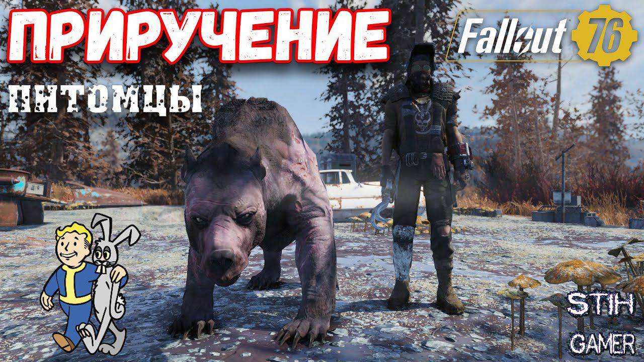 Fallout 76: Приручение Питомцев ➤ Гайд смотреть онлайн