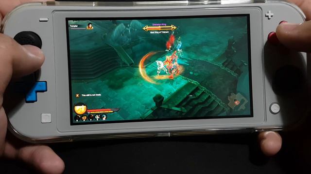 Diablo 3 Eternal Collection on Nintendo Switch Lite Part 7 смотреть онлайн