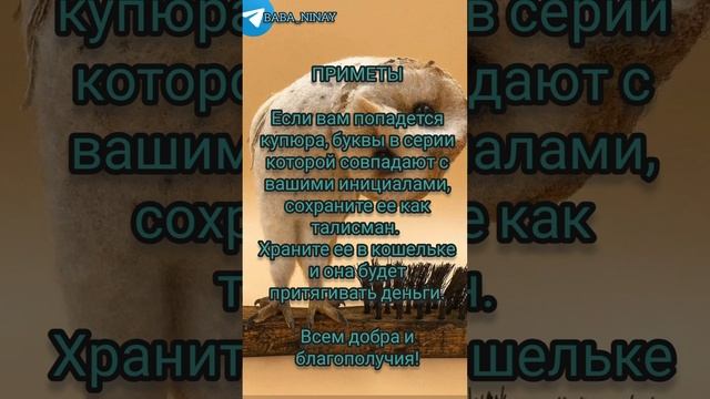 ПРИМЕТЫ НА КАЖДЫЙ ДЕНЬ| Заговор | Магия Жизни |Тик Ток#shorts #tiktok #приметы#magic #талисманудачи смотреть онлайн