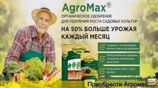 Какими удобрениями подкармливать картофель смотреть онлайн