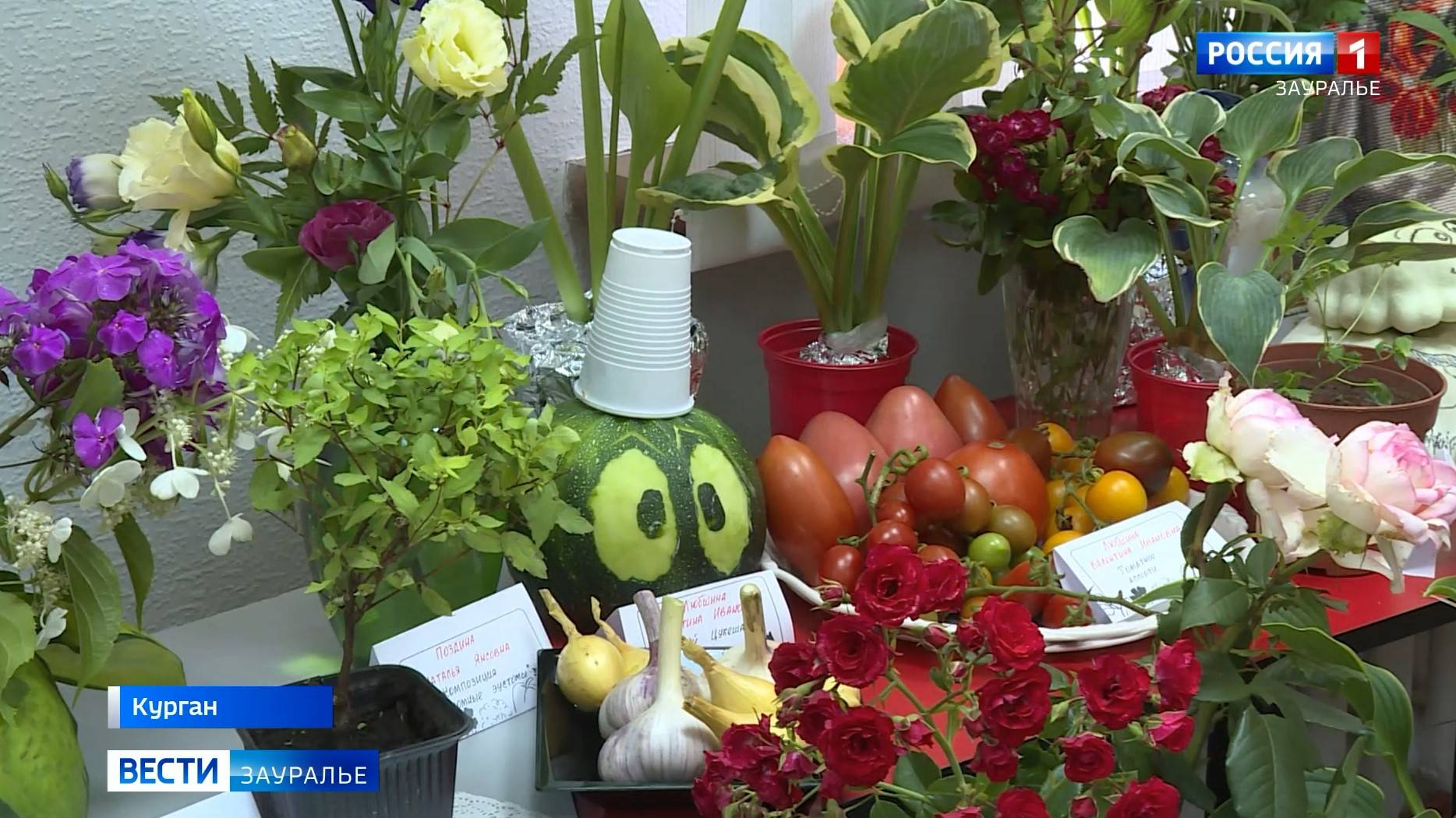 В Кургане в библиотеке имени Маяковского участники клуба любителей редких растений. смотреть онлайн