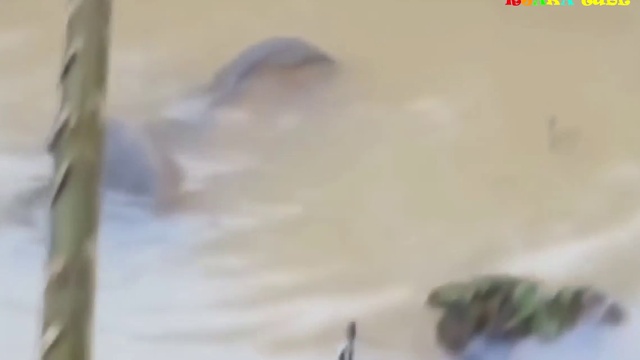 Приколы на рыбалке. смотреть онлайн