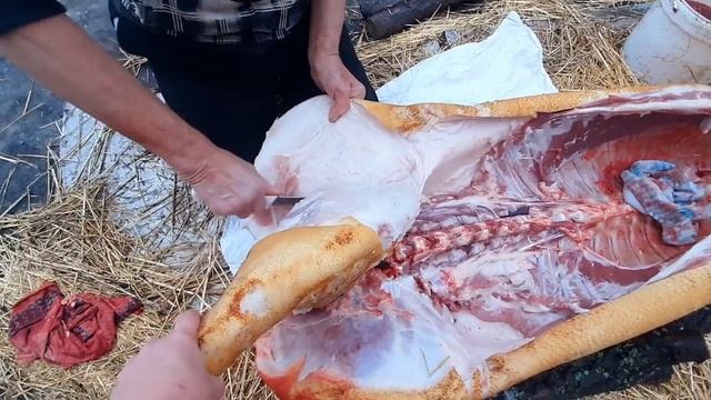 Как разделать тушку свиньи// свиная туша смотреть онлайн