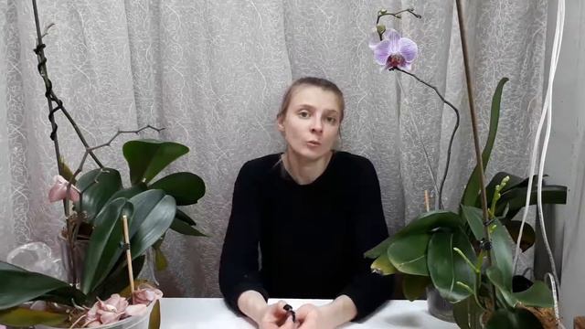 Подготовка субстрата для орхидеи. смотреть онлайн