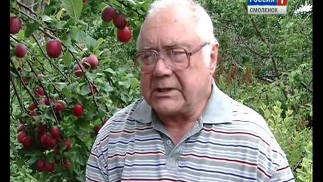 Виноградная Смоленщина КФХ «ПИТОМНИК» Чугуева Ю.М. смотреть онлайн