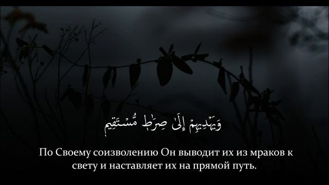 СУРА 5 АЛЬ-МАИДА (ТРАПЕЗА). АРБИ АШ-ШИШАНИ. АЯТЫ: 8-26. смотреть онлайн
