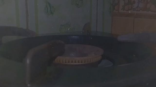 TOP CAPPUCCINO B ROLL "kayak nya" смотреть онлайн