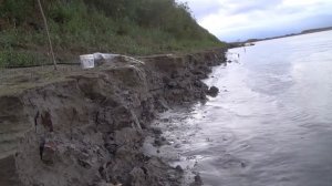 Начало октября.Рыбалка на закидушки на Иртыше. Налим,язь, лещ.