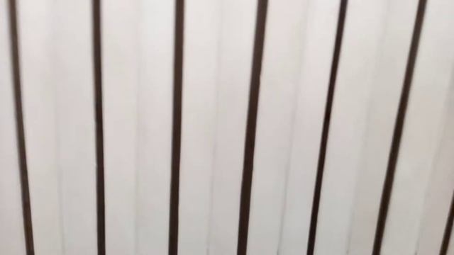 Руководство к Успеху