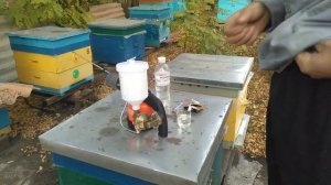 Дым пушка , как обрабатывать бипином пчёл.