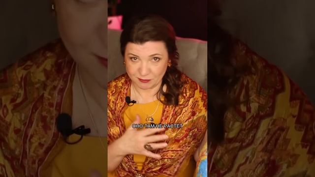 Визига, актинидия, папоротник. Самые необычные блюда России смотреть онлайн